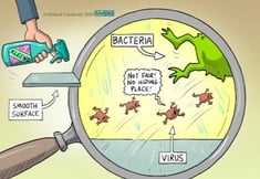 Bacteria _ virus_horizontal-1